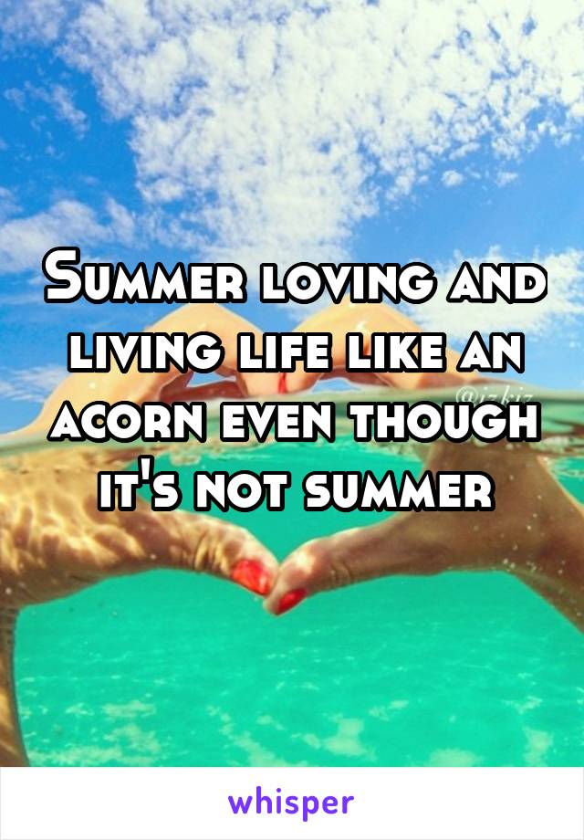 Summer loving and living life like an acorn even though it's not summer
