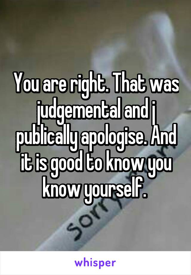 You are right. That was judgemental and j publically apologise. And it is good to know you know yourself. 