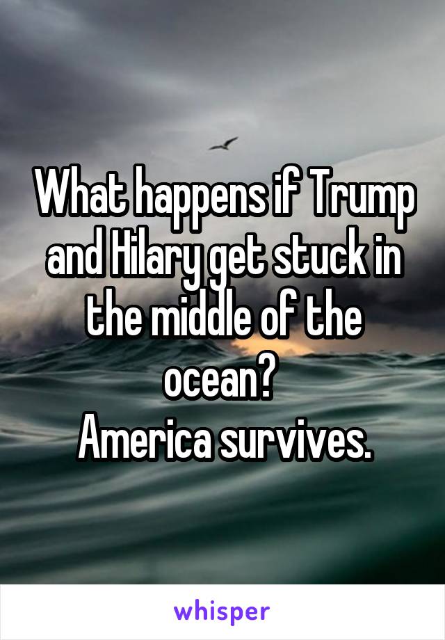 What happens if Trump and Hilary get stuck in the middle of the ocean? 
America survives.