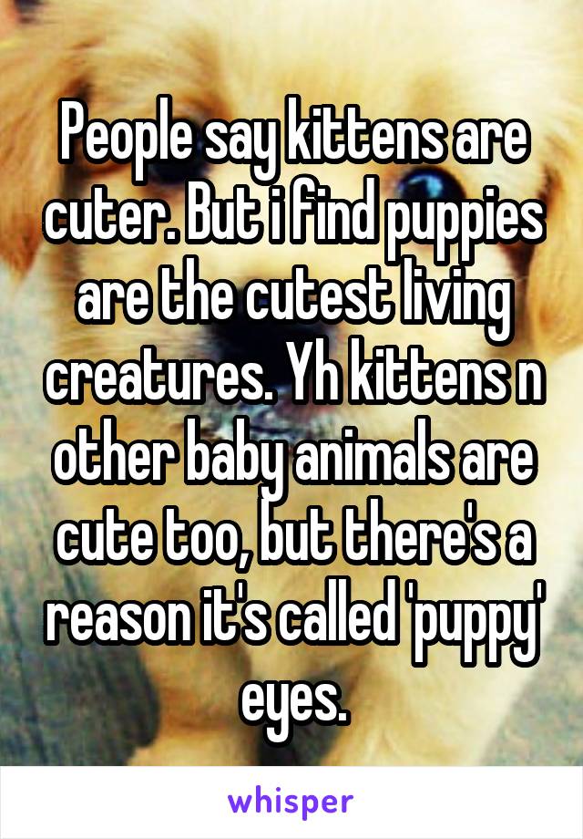 People say kittens are cuter. But i find puppies are the cutest living creatures. Yh kittens n other baby animals are cute too, but there's a reason it's called 'puppy' eyes.