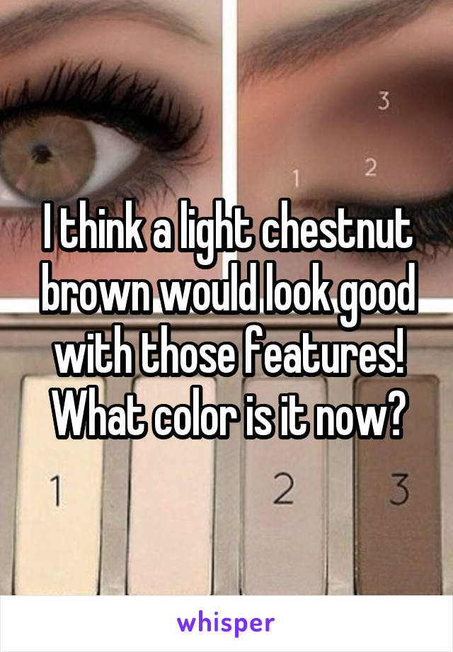 I think a light chestnut brown would look good with those features! What color is it now?