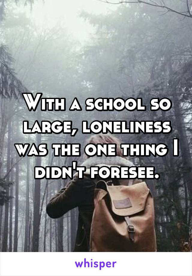 With a school so large, loneliness was the one thing I didn't foresee.