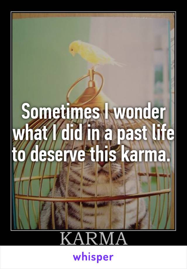 Sometimes I wonder what I did in a past life to deserve this karma. 