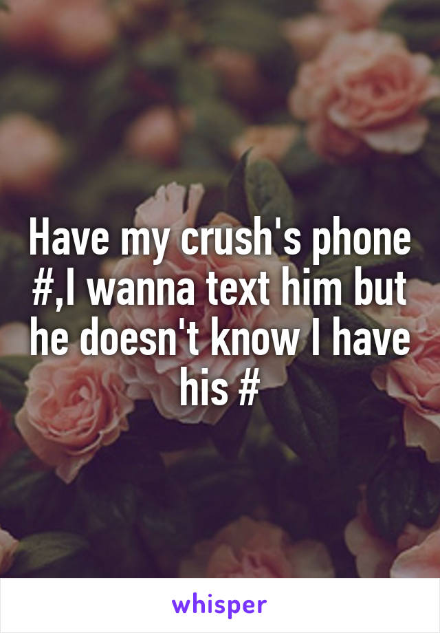 Have my crush's phone #,I wanna text him but he doesn't know I have his #