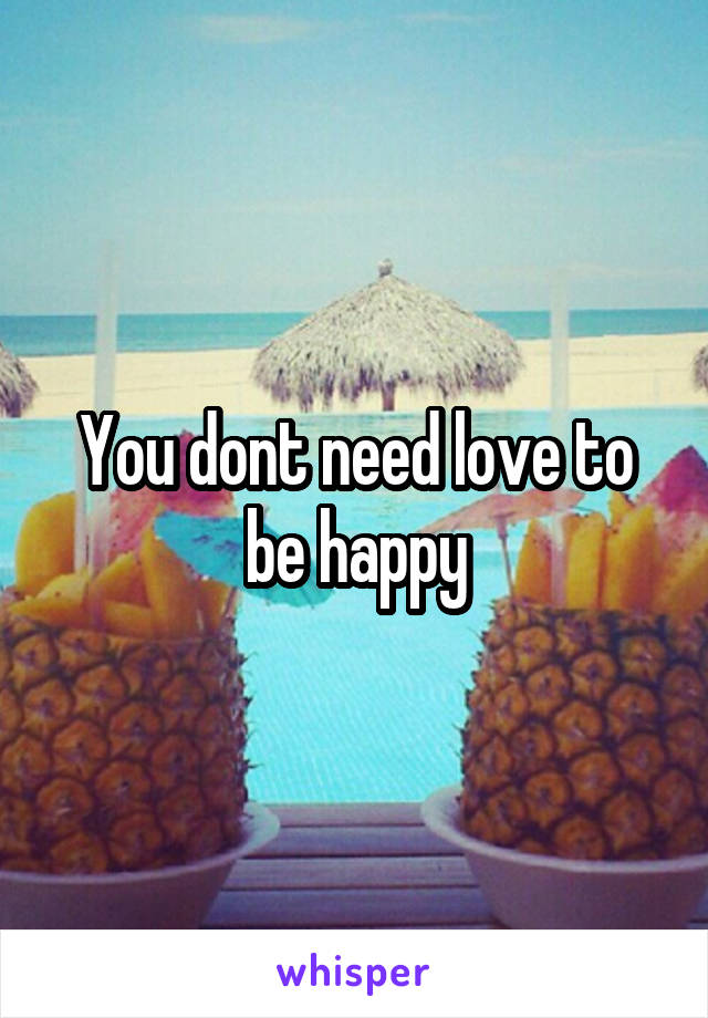 You dont need love to be happy