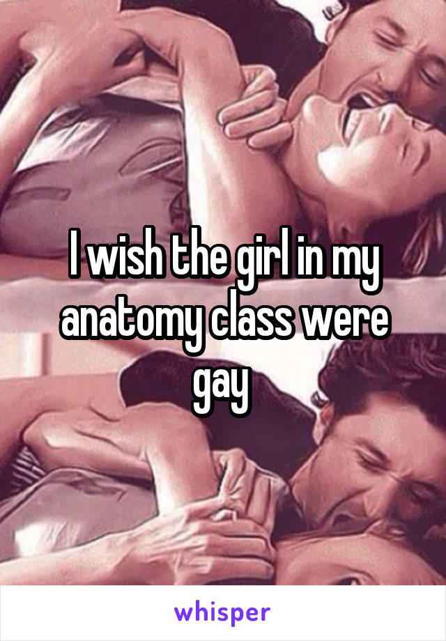 I wish the girl in my anatomy class were gay 