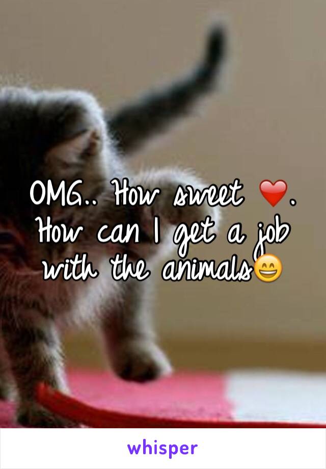 OMG.. How sweet ❤️.  How can I get a job with the animals😄