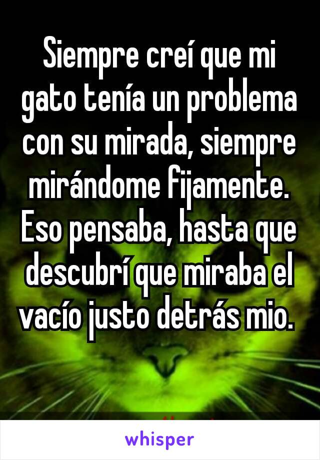 Siempre creí que mi gato tenía un problema con su mirada, siempre mirándome fijamente. Eso pensaba, hasta que descubrí que miraba el vacío justo detrás mio. 