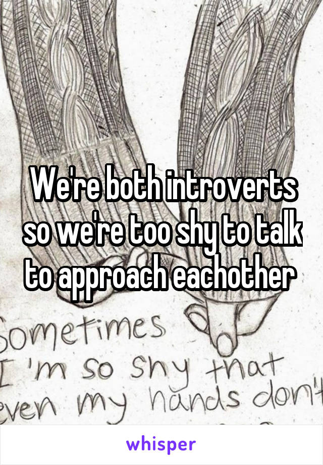 We're both introverts so we're too shy to talk to approach eachother 