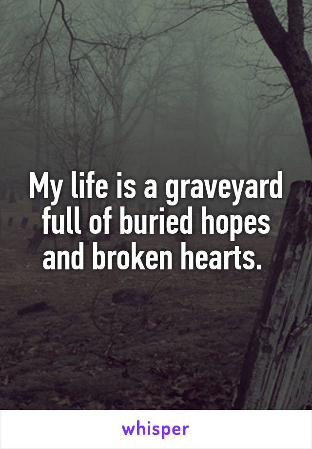 My life is a graveyard full of buried hopes and broken hearts. 