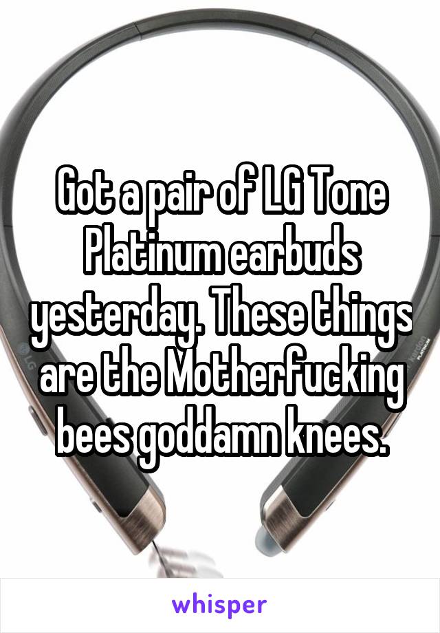 Got a pair of LG Tone Platinum earbuds yesterday. These things are the Motherfucking bees goddamn knees.