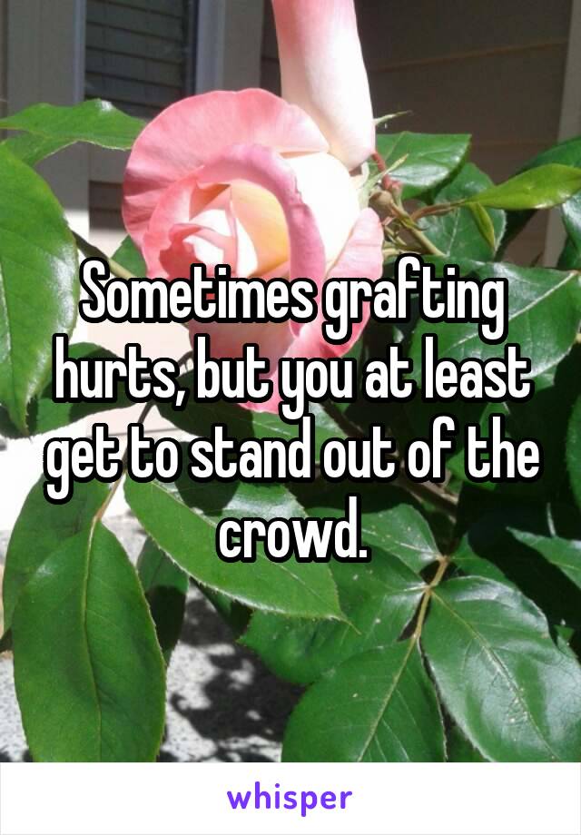 Sometimes grafting hurts, but you at least get to stand out of the crowd.