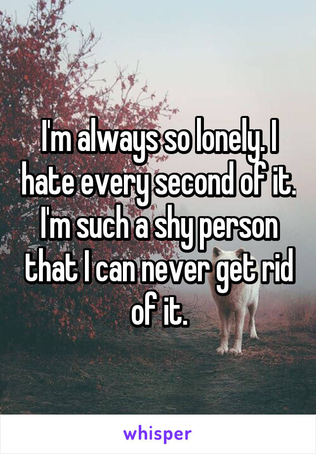 I'm always so lonely. I hate every second of it. I'm such a shy person that I can never get rid of it.