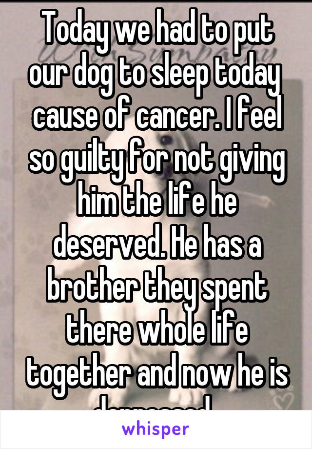 Today we had to put our dog to sleep today  cause of cancer. I feel so guilty for not giving him the life he deserved. He has a brother they spent there whole life together and now he is depressed. 