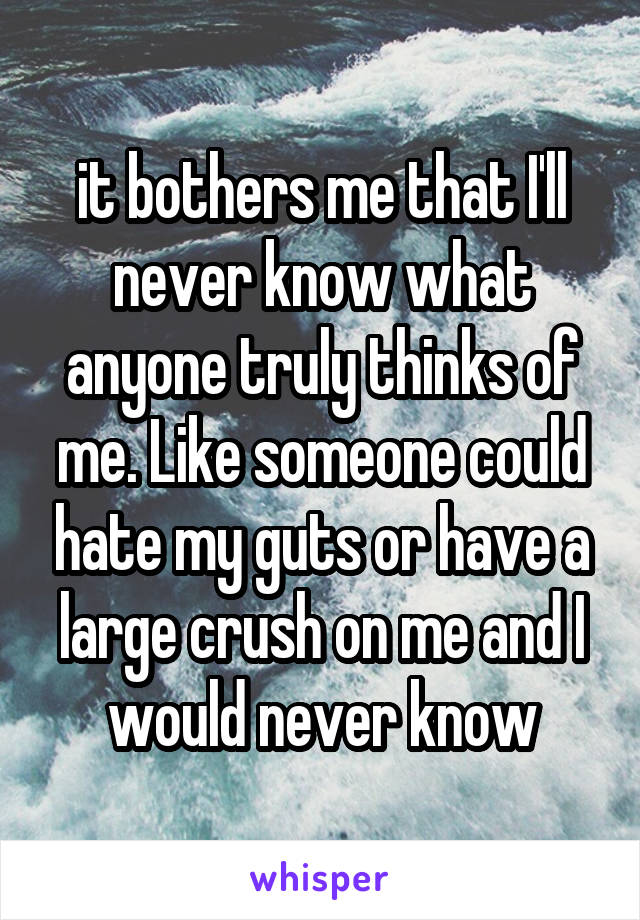 it bothers me that I'll never know what anyone truly thinks of me. Like someone could hate my guts or have a large crush on me and I would never know