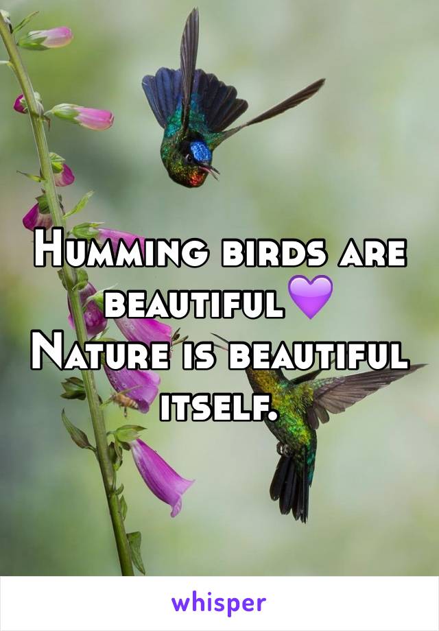 Humming birds are beautiful💜
Nature is beautiful itself.