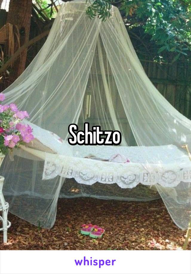 Schitzo 