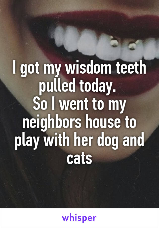 I got my wisdom teeth pulled today. 
So I went to my neighbors house to play with her dog and cats