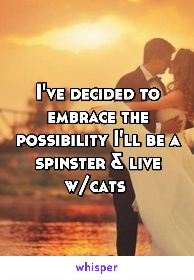 I've decided to embrace the possibility I'll be a spinster & live w/cats 