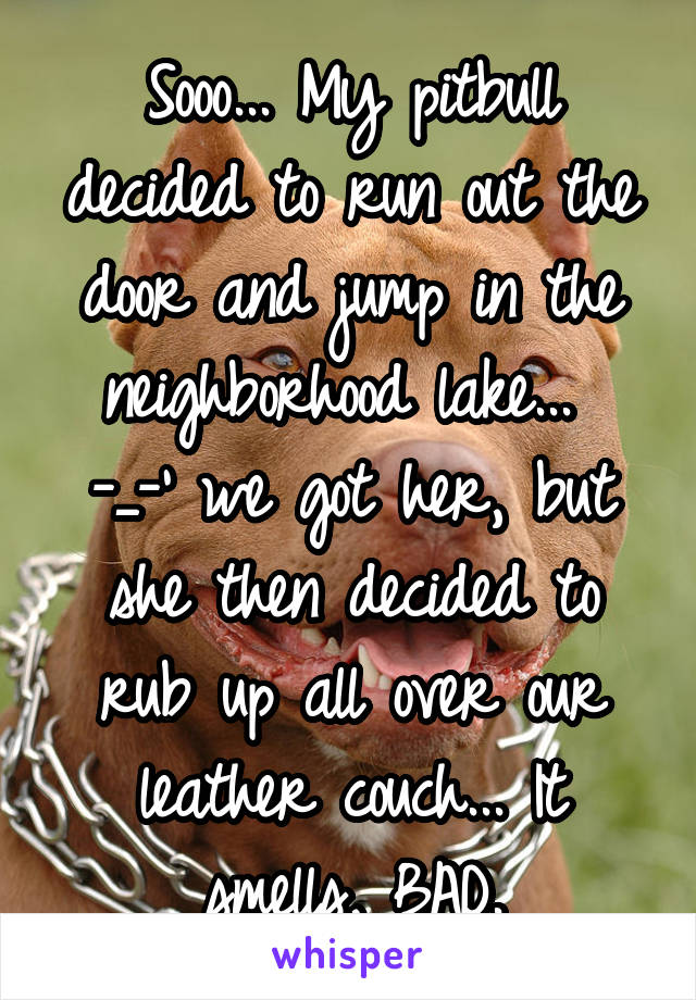 Sooo... My pitbull decided to run out the door and jump in the neighborhood lake... 
-_-' we got her, but she then decided to rub up all over our leather couch... It smells, BAD.