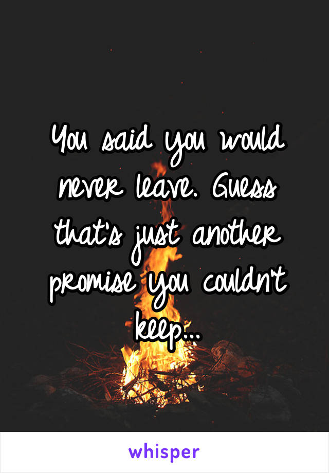 You said you would never leave. Guess that's just another promise you couldn't keep...