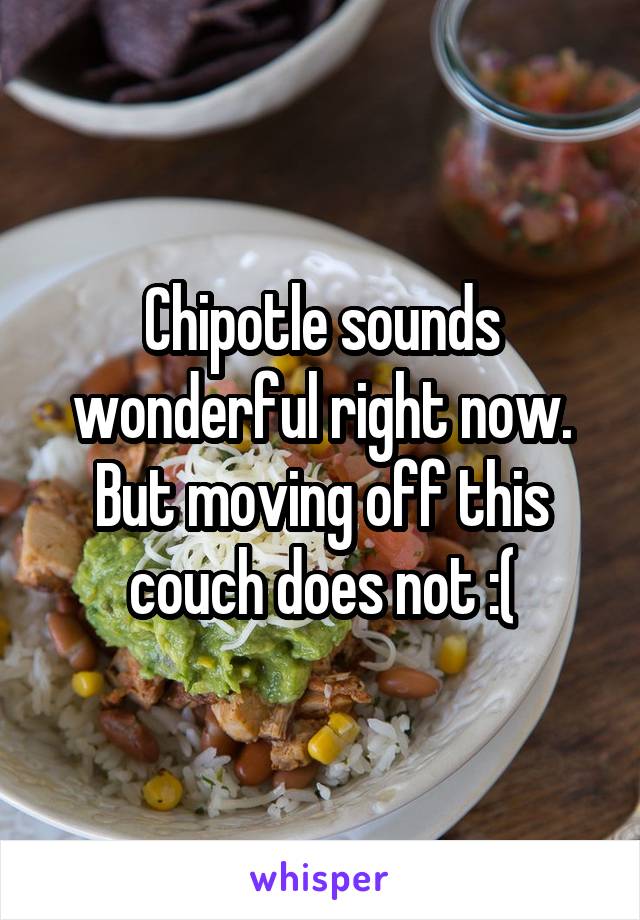 Chipotle sounds wonderful right now. But moving off this couch does not :(