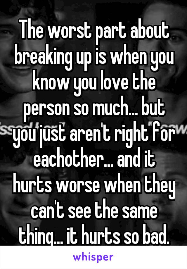 The worst part about breaking up is when you know you love the person so much... but you just aren't right for eachother... and it hurts worse when they can't see the same thing... it hurts so bad.