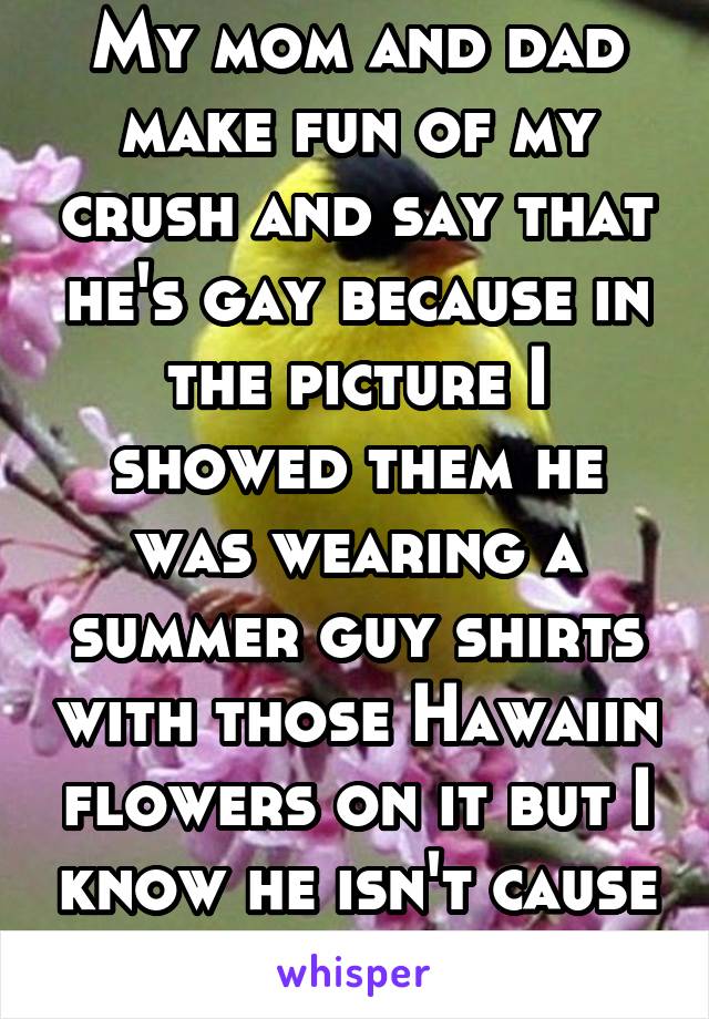 My mom and dad make fun of my crush and say that he's gay because in the picture I showed them he was wearing a summer guy shirts with those Hawaiin flowers on it but I know he isn't cause he likes me