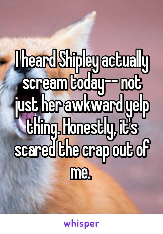 I heard Shipley actually scream today-- not just her awkward yelp thing. Honestly, it's scared the crap out of me. 