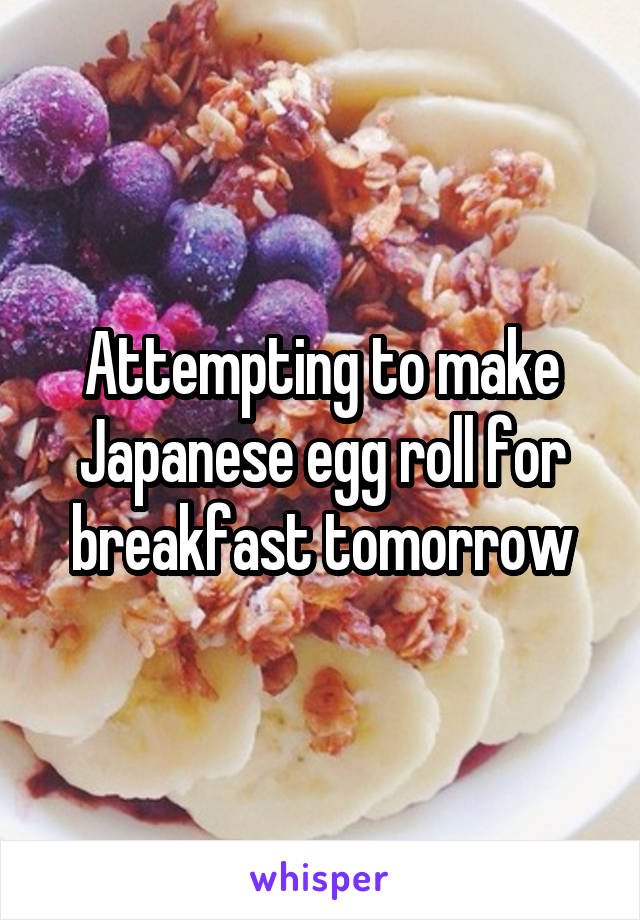 Attempting to make Japanese egg roll for breakfast tomorrow