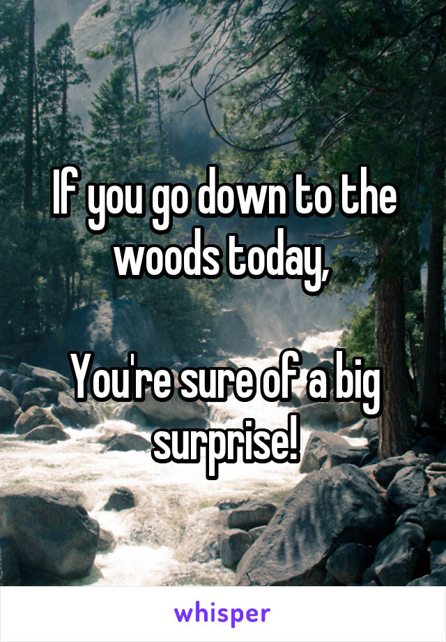 If you go down to the woods today, 

You're sure of a big surprise!