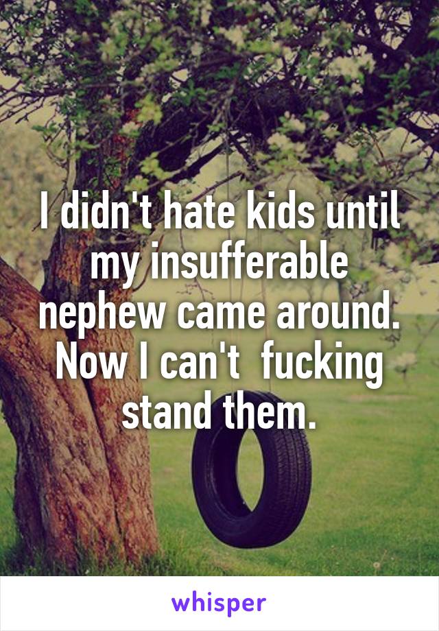 I didn't hate kids until my insufferable nephew came around.
Now I can't  fucking stand them.