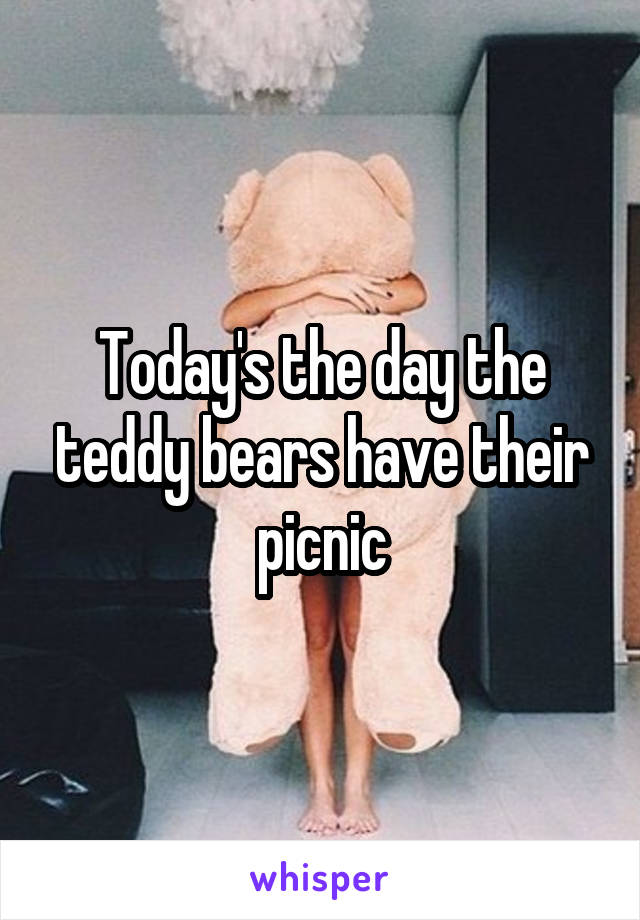 Today's the day the teddy bears have their picnic