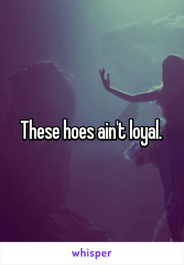 These hoes ain't loyal. 