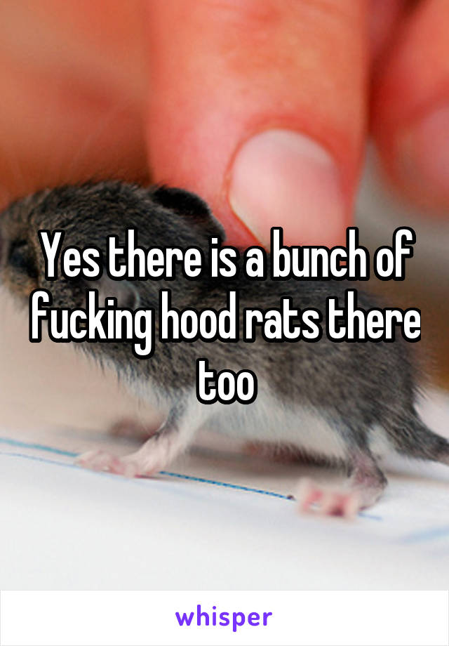 Yes there is a bunch of fucking hood rats there too