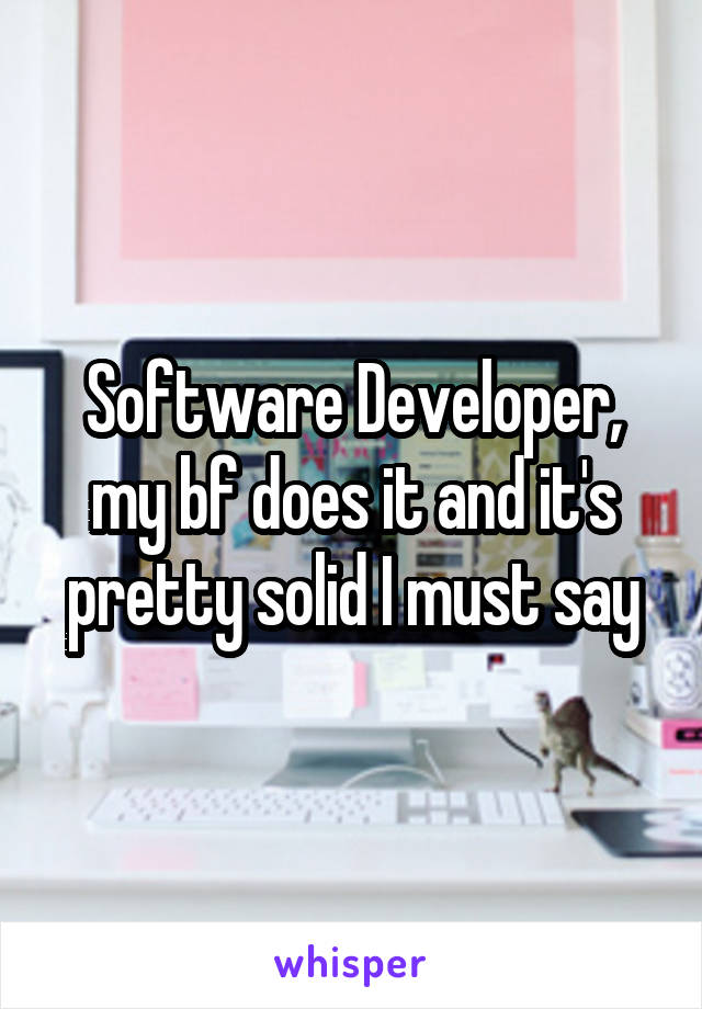 Software Developer, my bf does it and it's pretty solid I must say