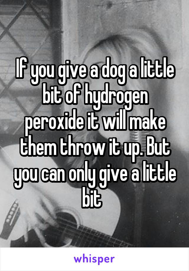 If you give a dog a little bit of hydrogen peroxide it will make them throw it up. But you can only give a little bit  