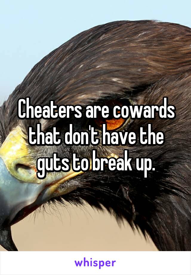 Cheaters are cowards that don't have the guts to break up.