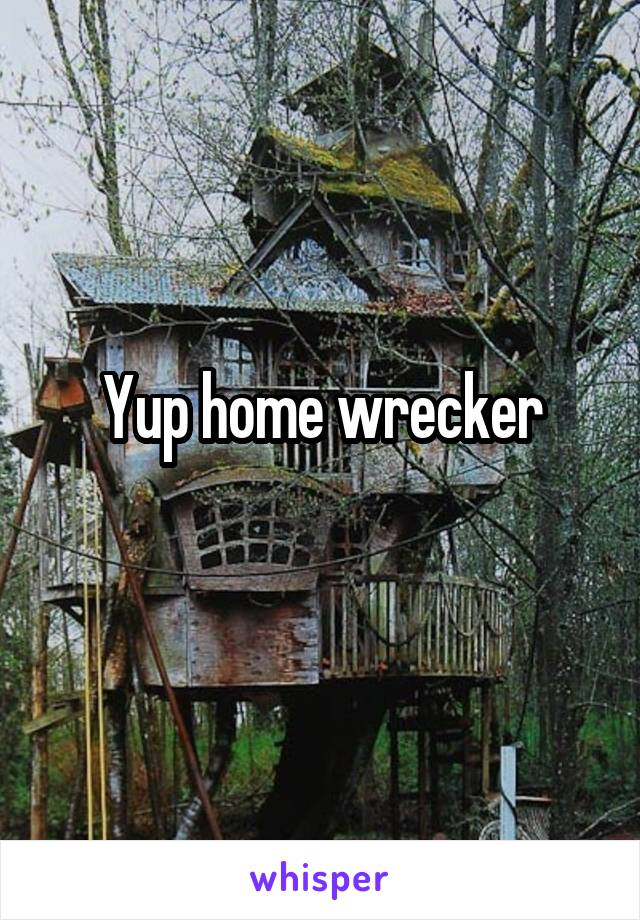 Yup home wrecker
