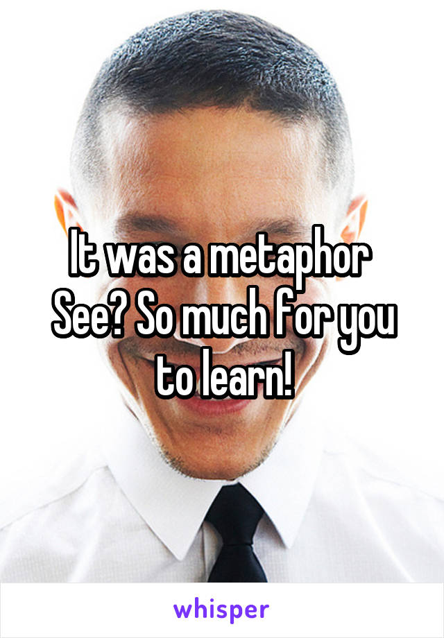 It was a metaphor 
See? So much for you to learn!