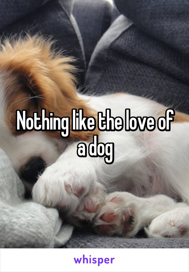 Nothing like the love of a dog