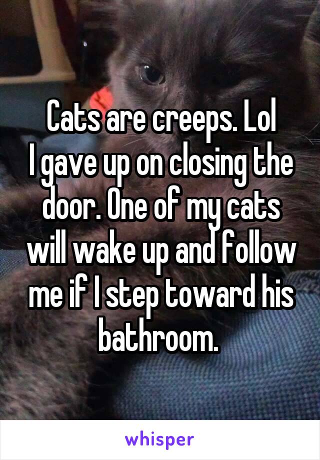 Cats are creeps. Lol
I gave up on closing the door. One of my cats will wake up and follow me if I step toward his bathroom. 