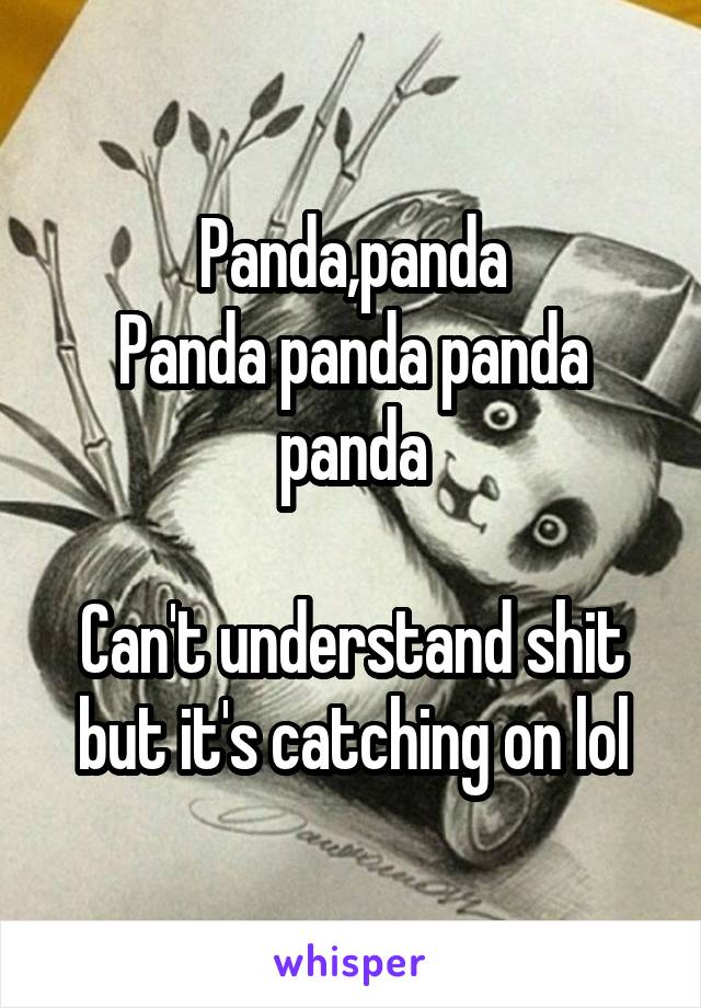 Panda,panda
Panda panda panda panda

Can't understand shit but it's catching on lol