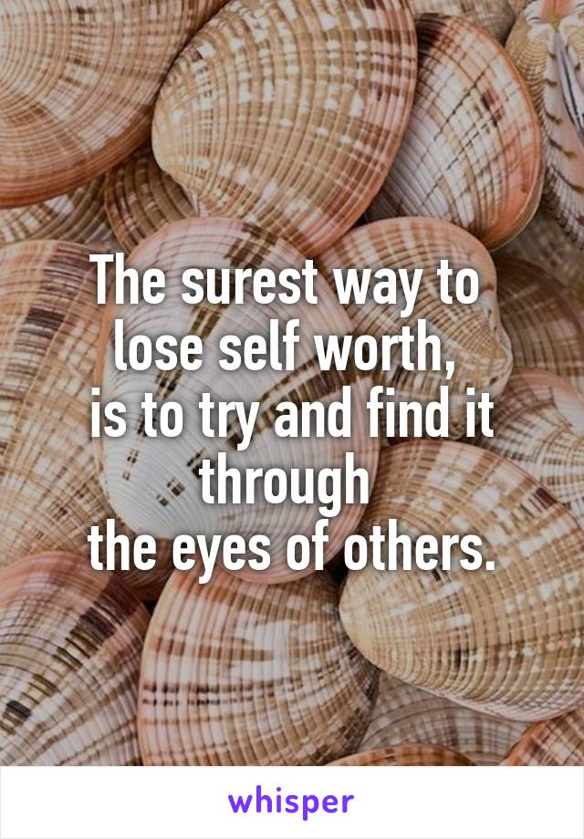 The surest way to 
lose self worth, 
is to try and find it through 
the eyes of others.