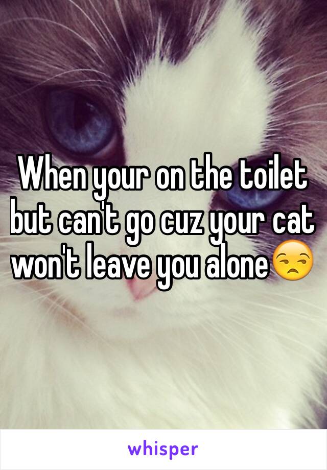 When your on the toilet but can't go cuz your cat won't leave you alone😒 