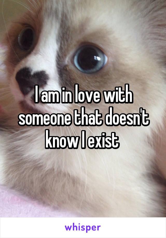I am in love with someone that doesn't know I exist 