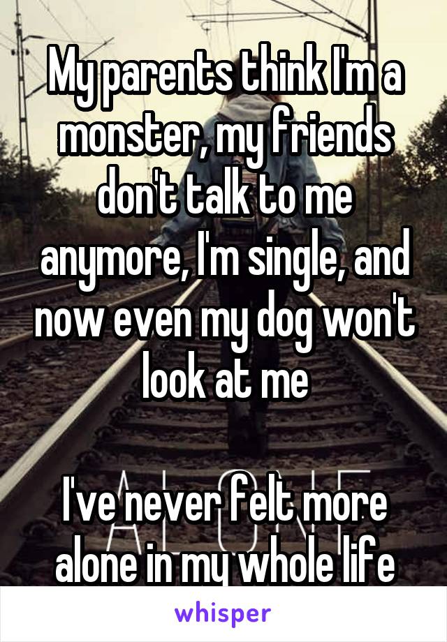 My parents think I'm a monster, my friends don't talk to me anymore, I'm single, and now even my dog won't look at me

I've never felt more alone in my whole life