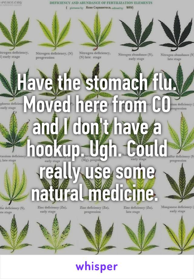 Have the stomach flu. Moved here from CO and I don't have a hookup. Ugh. Could really use some natural medicine. 