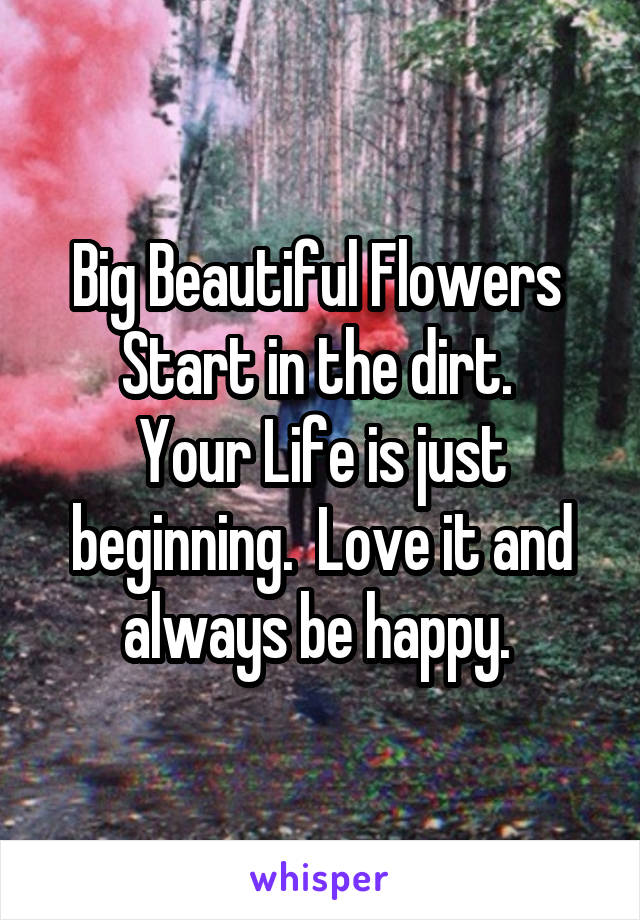 Big Beautiful Flowers 
Start in the dirt. 
Your Life is just beginning.  Love it and always be happy. 