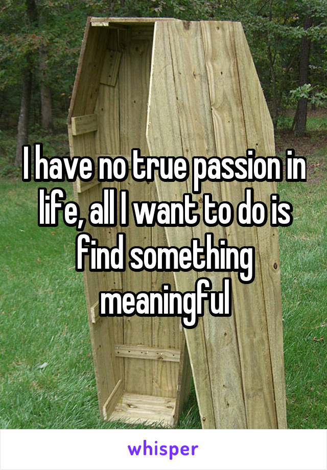 I have no true passion in life, all I want to do is find something meaningful